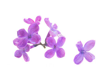 Similar image 13215692