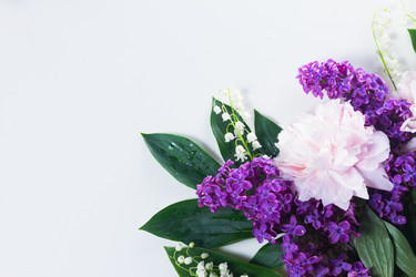 Similar image 13216869