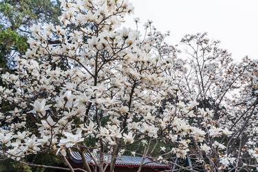 Similar image 13194818