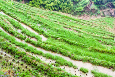 Similar image 13194823