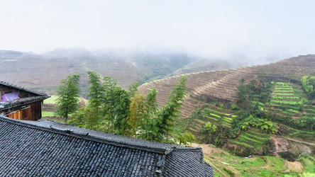 Similar image 13202663