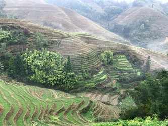 Similar image 13207983