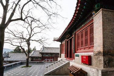 Similar image 13194828