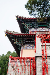 Similar image 13202646