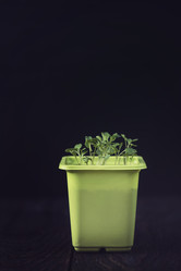 Similar image 13198956