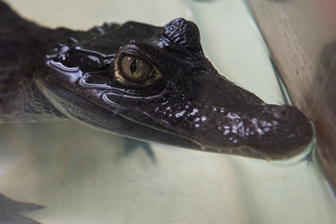 Similar image 13198663