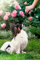 Similar image 13209601