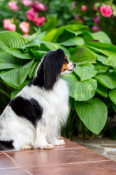 Similar image 13209610