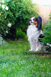 Similar image 13208605