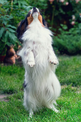 Similar image 13208606