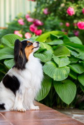 Similar image 13209798