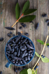 Similar image 13209848