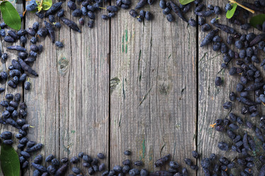 Similar image 13209849