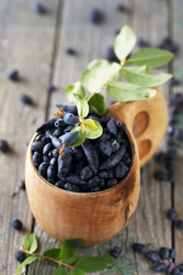 Similar image 13209850