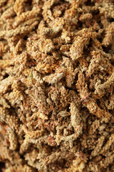 Similar image 13208625