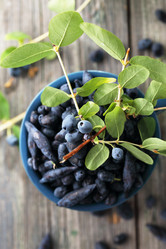 Similar image 13209947