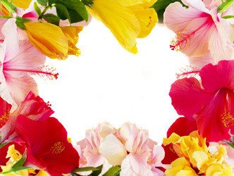 Similar image 13216972