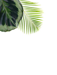 Similar image 13217185