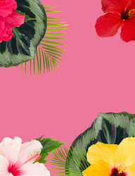 Similar image 13215557