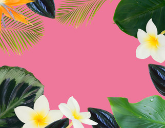 Similar image 13216014