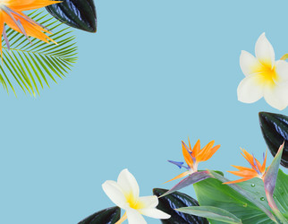 Similar image 13216017