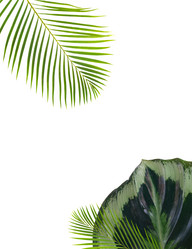 Similar image 13216070