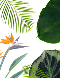 Similar image 13216112