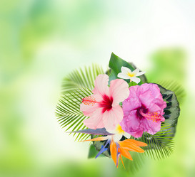 Similar image 13216194