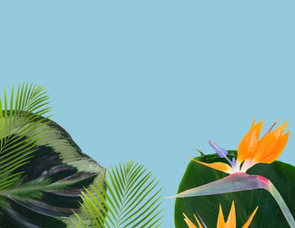 Similar image 13216234