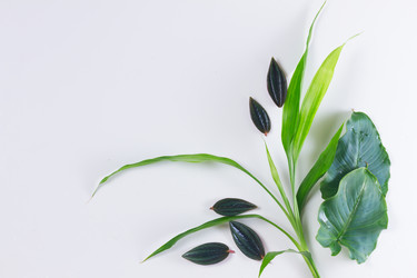 Similar image 13216446