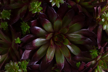 Similar image 13216910