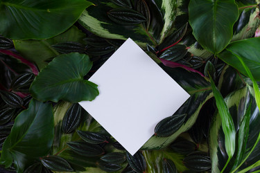 Similar image 13216928