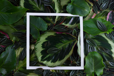 Similar image 13215560