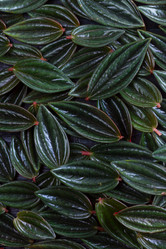 Similar image 13215730