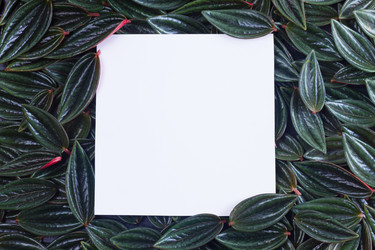 Similar image 13215957