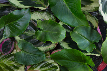 Similar image 13216114