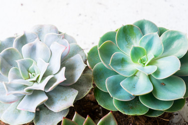 Similar image 13216214