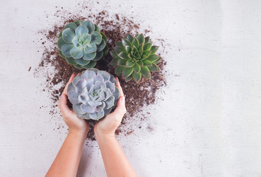 Similar image 13216216