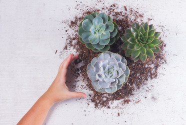 Similar image 13216235