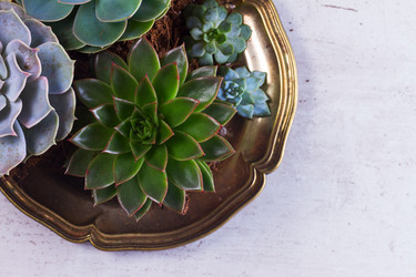 Similar image 13216465