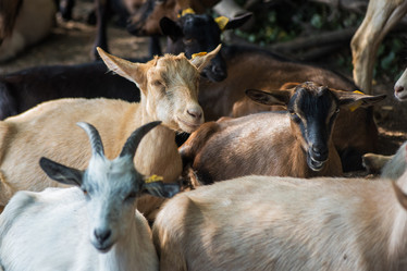 Similar image 13199004