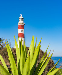 Similar image 13192742