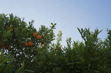 Similar image 13199250