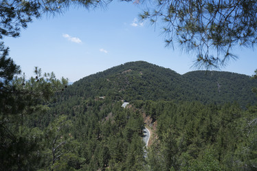 Similar image 13199462