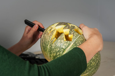 Similar image 13213479