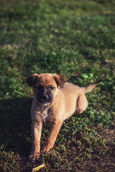 Similar image 13213196