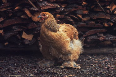 Similar image 13213573