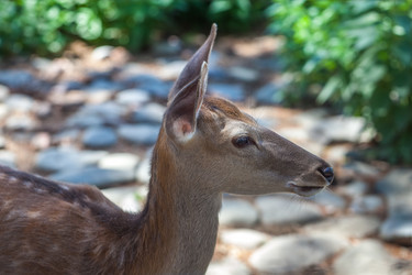 Similar image 13193198