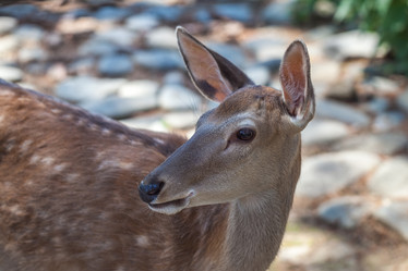 Similar image 13193229