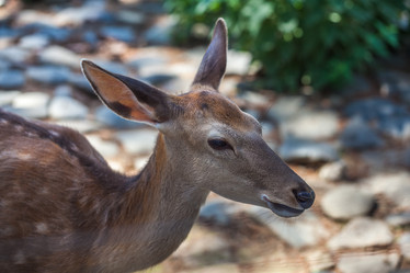 Similar image 13193257